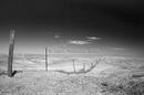 The dog fence, Australian desert, 3/04